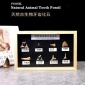 天然牙齿化石组合12颗古生物化石标本套盒摆件摩洛哥鲨鱼牙齿化石