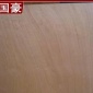 热销供应 饰面托盘胶合板 家用桦木胶合板