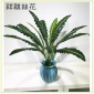 仿真15头铁角巢蕨手感胶叶仿真花婚庆用品仿真植物墙绿植装饰假花
