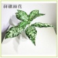 仿真10叶斑纹叶 手感把束仿真花婚庆用品仿真植物墙绿植装饰假花