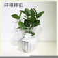 仿真5头芒果 胶叶手感把束仿真花婚庆用品仿真植物墙绿植装饰假花